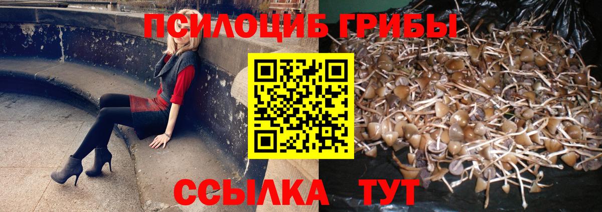 Галлюциногенные грибы Psilocybe Самара