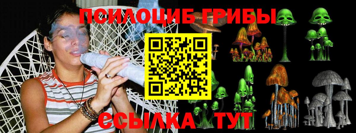 Самара  Псилоцибиновые грибы Magic Shrooms  Вход с VPN 